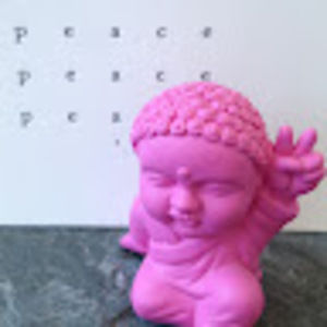 Meet your Posher, Mina